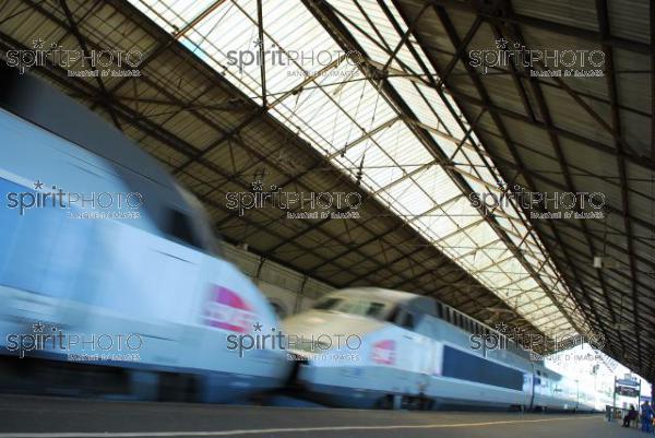 TGV en Gare - Transport (JBNADEAU_01165.jpg)