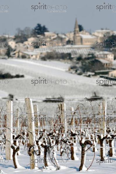 Vignoble Bordelais sous la neige (JBNADEAU_01225.jpg)
