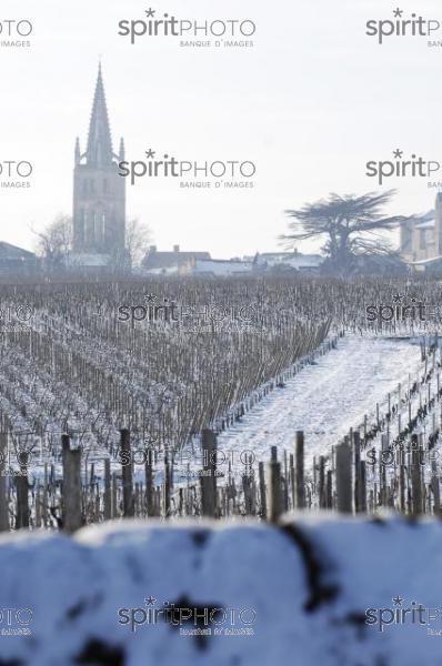 Saint-Emilion - Gironde (JBNADEAU_01245.jpg)