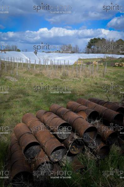 FRANCE, GIRONDE, LANDIRAS, PREPARATION DU VIGNOBLE AVANT LA PERIODE DE GEL DE DEBUT AVRIL 2022 SUR LE DOMAINE VITICOLE DU CELEBRE VIN LIBER PATER AVEC LA POSE D'UN GEOTEXTILE PAR DES EQUIPES D'OUVRIERS VITICOLES LE 1ER AVRIL 2022. (JBN_0026.jpg)