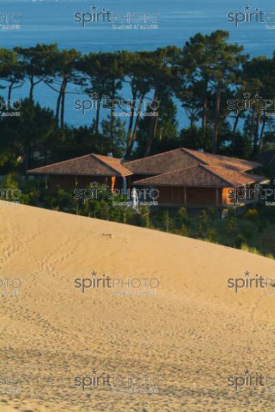 Dune du Pyla - Bassin d'Arcachon (JBN_01524.jpg)