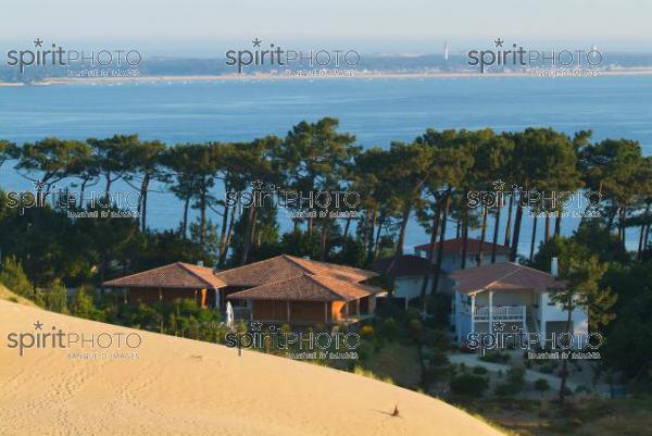 Dune du Pyla - Bassin d'Arcachon (JBN_01525.jpg)