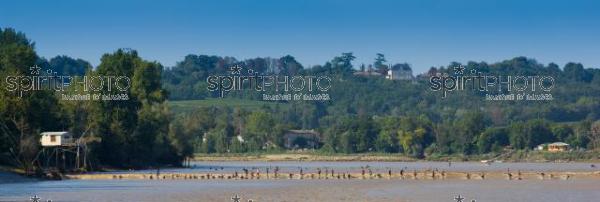 Mascaret sur la Garonne en Gironde (JBN_01548.jpg)