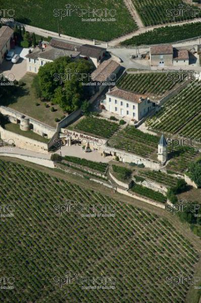 Chteau la Madeleine - Saint-Emilion (JBN_01681.jpg)