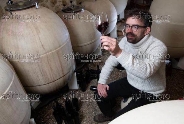 GIRONDE (33), LANDIRAS, VIGNOBLE LIBER PATER, LOIC PASQUET, VIGNOBLE BORDELAIS, LE VIN LE PLUS CHER AU MONDE CREE A PARTIR DE VIGNES PREPHYLLOXERIQUES, AOC GRAVES., ASSEMBLAGE 100% FRANC-DE-PIED (JBN_0174.jpg)