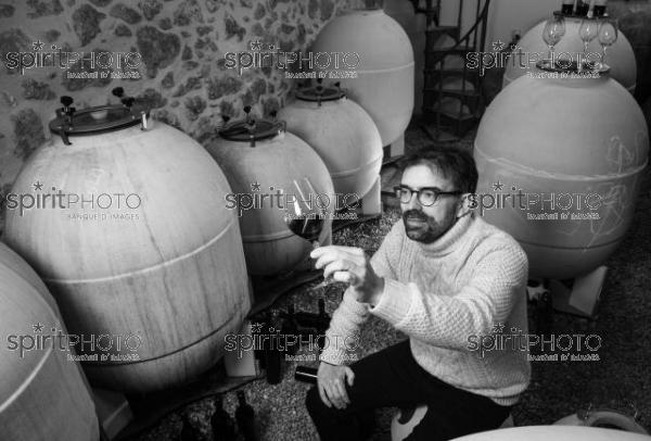 GIRONDE (33), LANDIRAS, VIGNOBLE LIBER PATER, LOIC PASQUET, VIGNOBLE BORDELAIS, LE VIN LE PLUS CHER AU MONDE CREE A PARTIR DE VIGNES PREPHYLLOXERIQUES, AOC GRAVES., ASSEMBLAGE 100% FRANC-DE-PIED (JBN_0184.jpg)