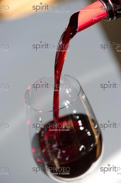 Dégustation - Vin Rouge (JBN_01848.jpg)