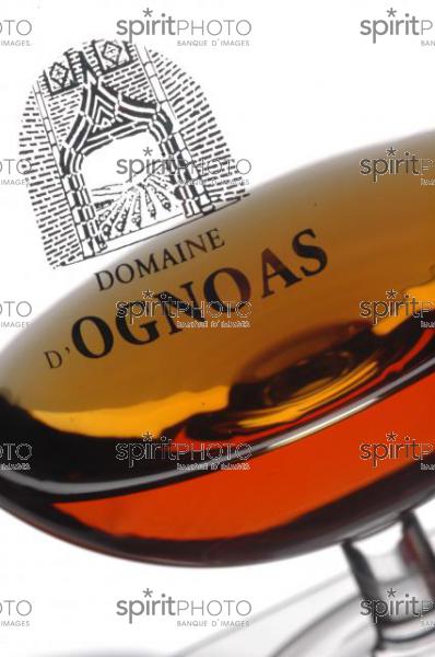 Domaine d'Ognoas - Landes (JBN_02040.jpg)