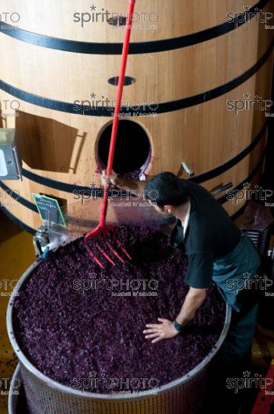 Vinification - Chteau Faugres (JBN_02054.jpg)