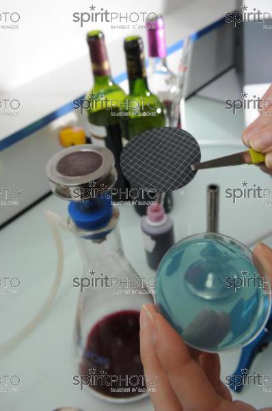 Laboratoire Oenologique (JBN_02144.jpg)