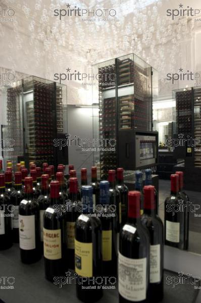 Wine Gallery Bordeaux-Max Bordeaux (JBN_02359.jpg)