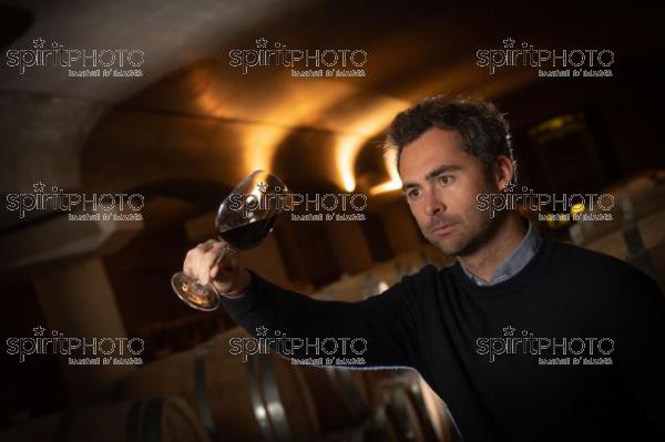 FRANCE, GIRONDE, MARTILLAC, PATRICK JESTIN (PDG DE DOURTHE), VALENTIN JESTIN (DIRECTEUR MARKETING ET COMMERCIAL), ET FRÉDÉRIC BONNAFFOUS (DIRECTEUR DES DOMAINES DOURTHE), CHATEAU LA GARDE, VIGNOBLE DOURTHE, AOC PESSAC_LEOGNAN, VIGNOBLE BORDELAIS (JBN_0273.jpg)