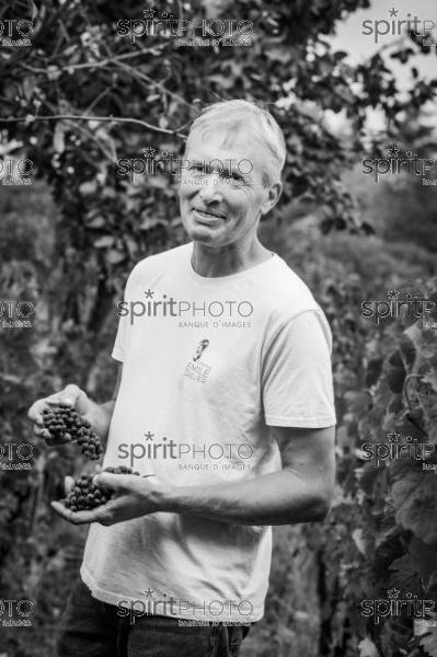 GIRONDE (33) LAPOUYADE, DELPHINE ET BENOIT VINET, DOMAINE EMILE GRELIER, AGRICULTURE BIOLOGIQUE, VIGNOBLE BORDELAIS  // FRANCE, GIRONDE (33) LAPOUYADE, DELPHINE ET BENOIT VINET, DOMAINE EMILE GRELIER, ORGANIC AGRICULTURE, BORDEAUX VINEYARD (JBN_0282.jpg)