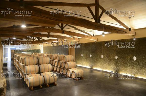 Chteau Soutard-Vignoble Bordelais (JBN_03022.jpg)