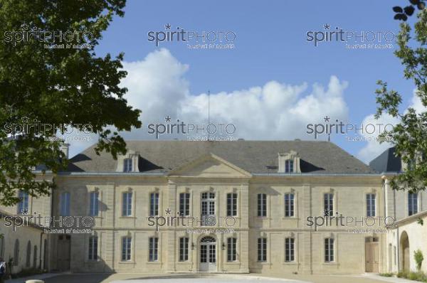 Chteau Soutard-Vignoble Bordelais (JBN_03037.jpg)