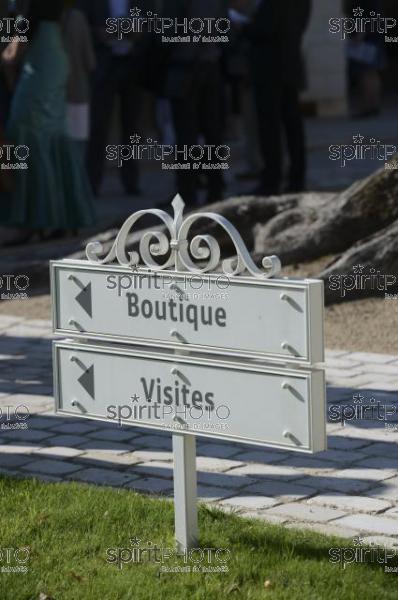 Oenotourisme -Chteau Soutard-Vignoble Bordelais (JBN_03038.jpg)