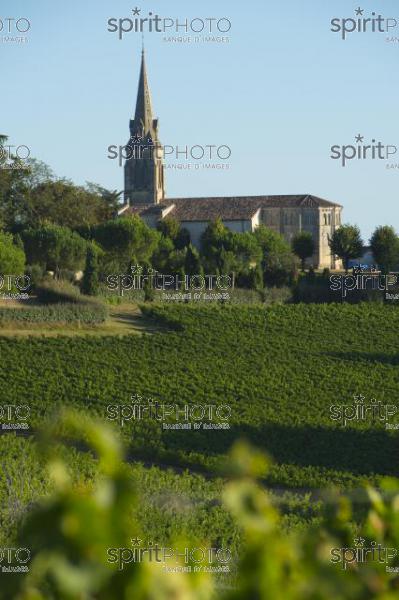 Patrimoine de Gironde (JBN_03073.jpg)