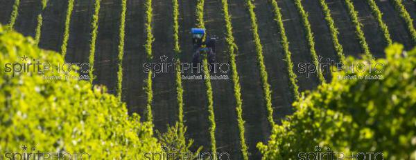 Travail de la Vigne - Machine Agricole (JBN_03085-2.jpg)