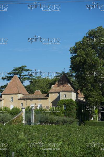 Chteau Carbonnieux - AOC Pessac Lognan (JBN_03110.jpg)