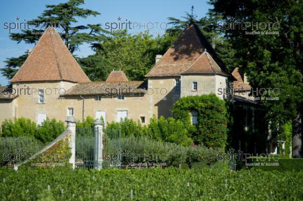 Chteau Carbonnieux - AOC Pessac Lognan (JBN_03112.jpg)