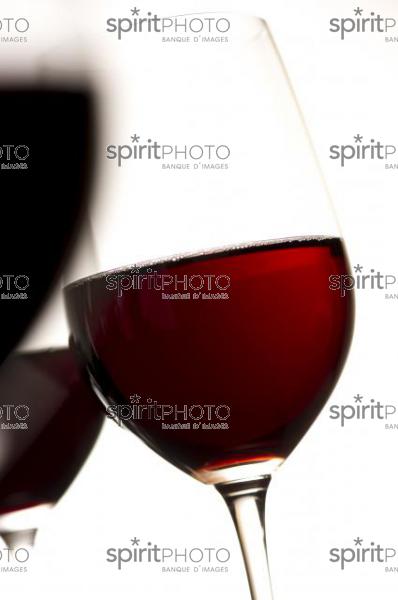Dégustation Vin rouge (JBN_03148.jpg)