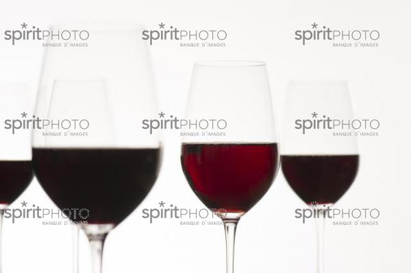 Dégustation Vin rouge (JBN_03151.jpg)