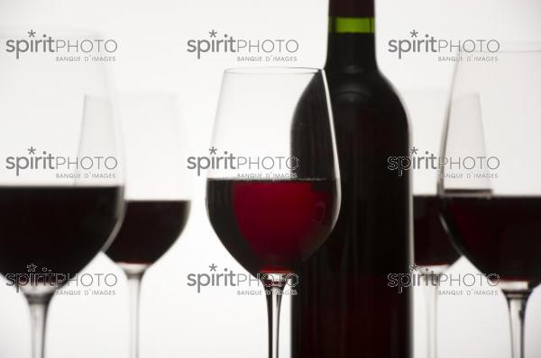 Dégustation Vin rouge (JBN_03154.jpg)