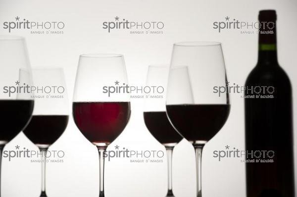 Dégustation Vin rouge (JBN_03155.jpg)