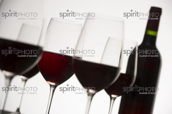 Dégustation Vin rouge (JBN_03156.jpg)