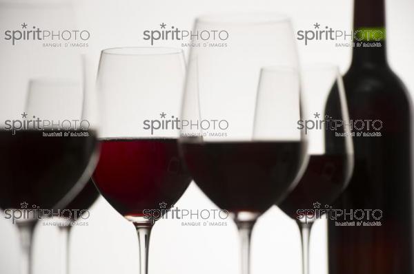 Dégustation Vin rouge (JBN_03157.jpg)