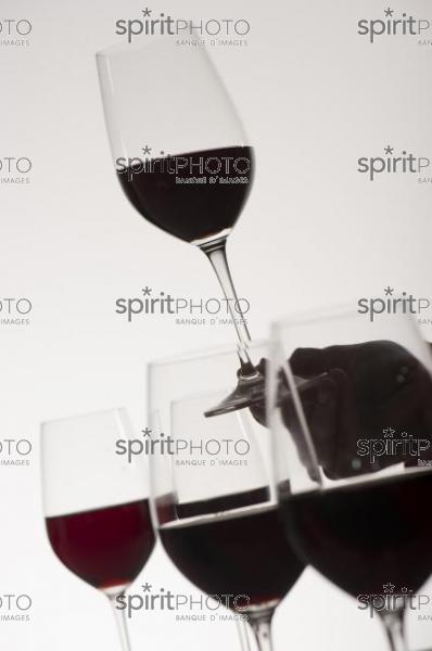 Dégustation Vin rouge (JBN_03172.jpg)