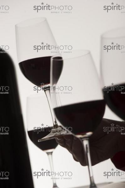Dégustation Vin rouge (JBN_03173.jpg)