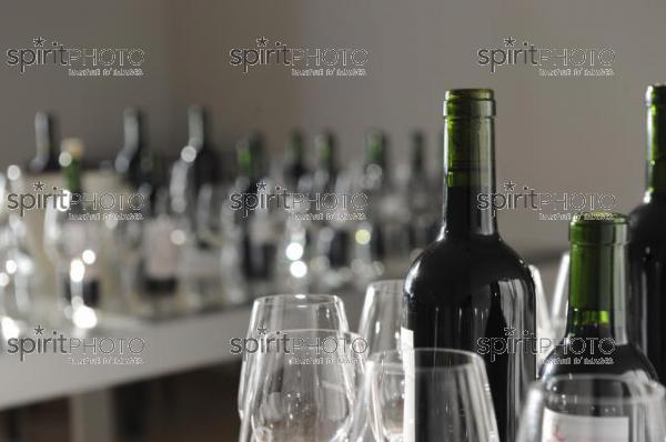 Echantillons de vins - Dgustation (JBN_03198.jpg)