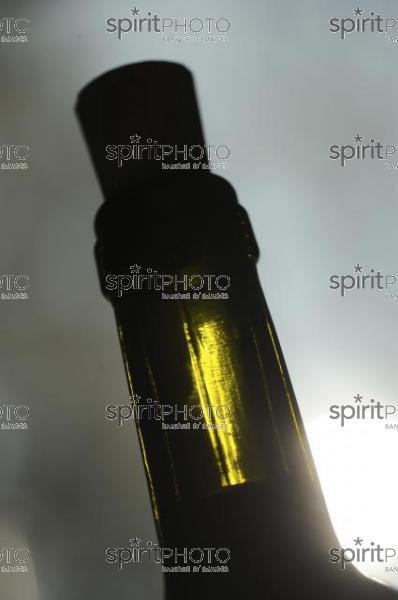 Echantillons de vins - Dgustation (JBN_03200.jpg)