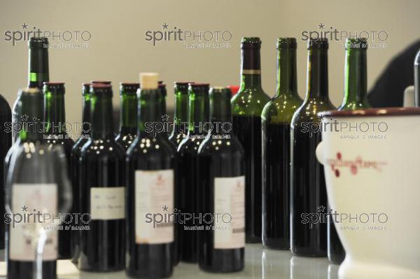 Echantillons de vins - Dgustation (JBN_03208.jpg)