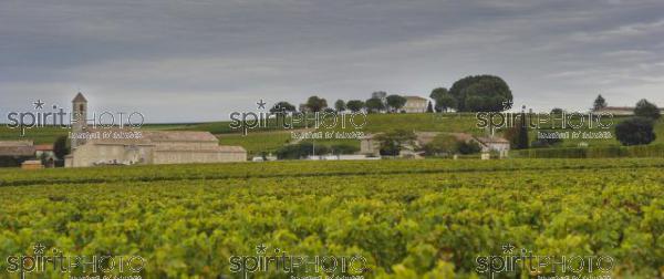 Paysage viticole (JBN_03459.jpg)