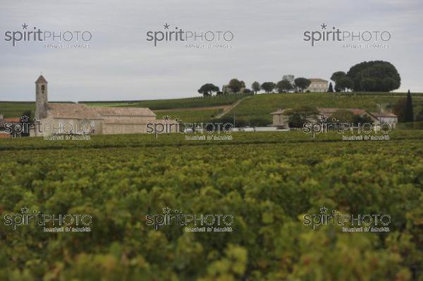 Paysage viticole (JBN_03460.jpg)