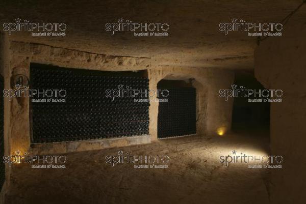 Cave  vin souterraine (JBN_03664.jpg)