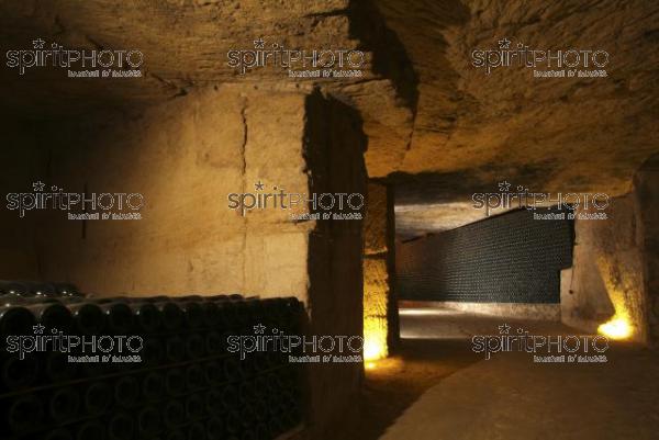 Cave  vin souterraine (JBN_03666.jpg)