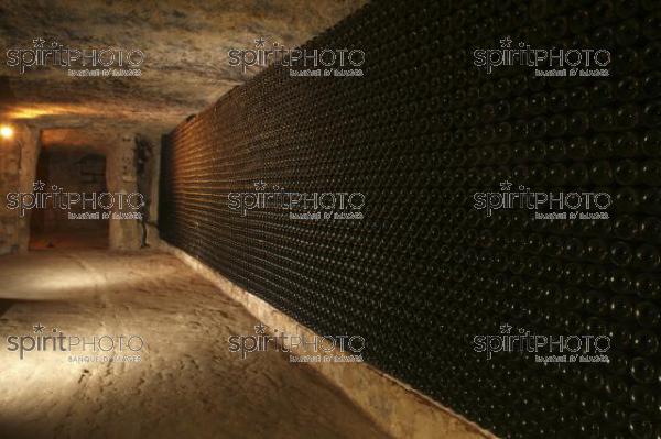 Cave  vin souterraine (JBN_03669.jpg)