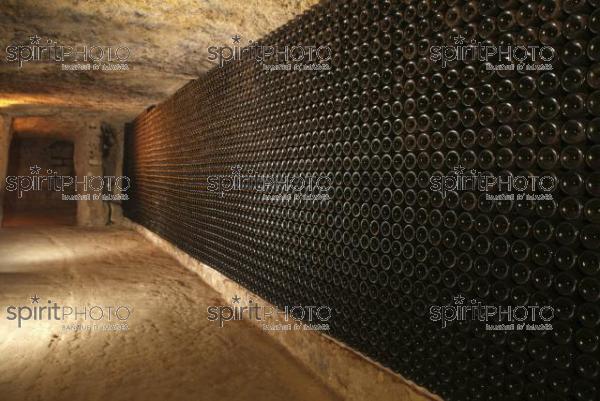 Cave  vin souterraine (JBN_03670.jpg)