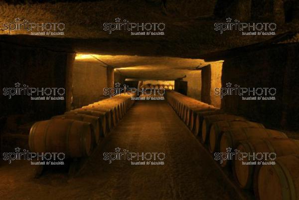 Cave  vin souterraine (JBN_03672.jpg)