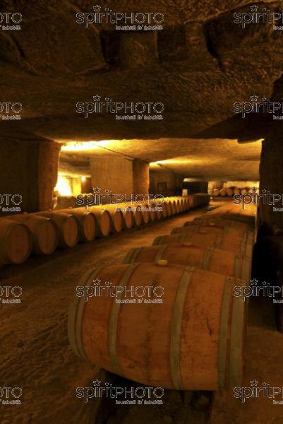 Cave  vin souterraine (JBN_03673.jpg)