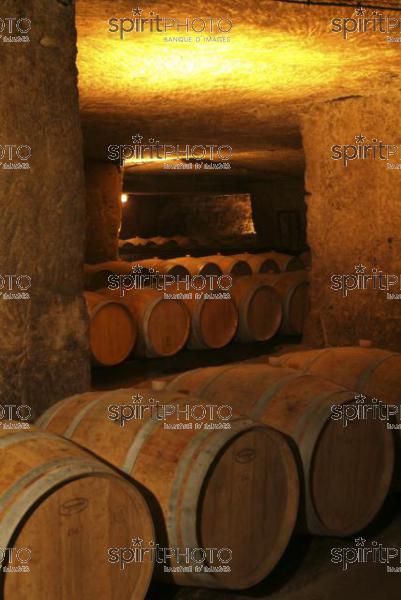 Cave  vin souterraine (JBN_03674.jpg)