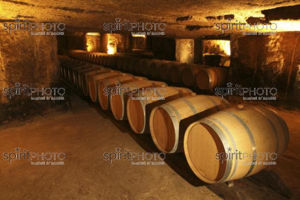 Cave  vin souterraine (JBN_03675.jpg)