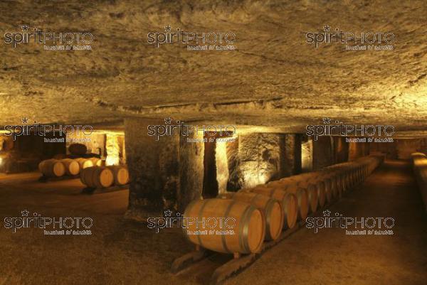 Cave  vin souterraine (JBN_03676.jpg)