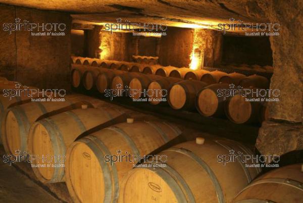 Cave  vin souterraine (JBN_03677.jpg)