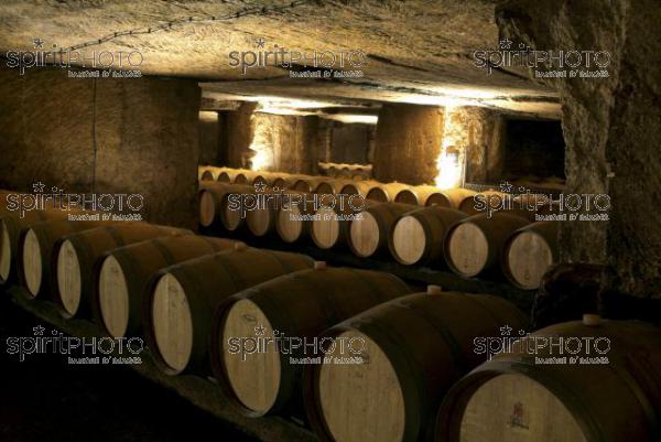Cave  vin souterraine (JBN_03678.jpg)