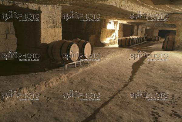 Cave  vin souterraine (JBN_03683.jpg)
