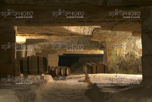 Cave  vin souterraine (JBN_03684.jpg)